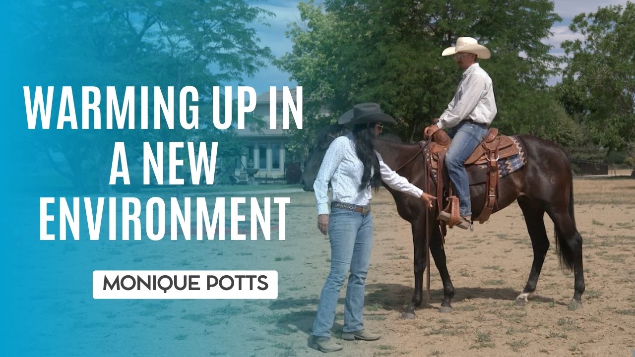 Warming Up in a New Enviornment