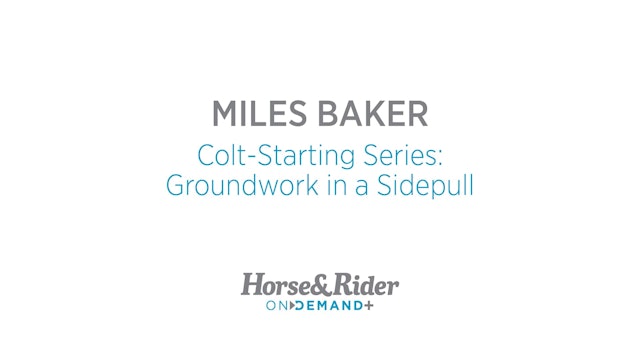 ColtStarting Series:Groundwork in a Sidepull