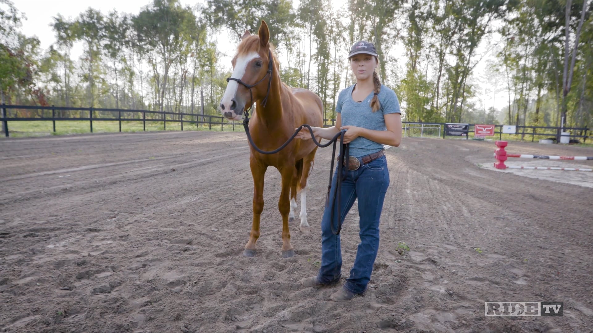 Horsemanship with Cat - Engaging