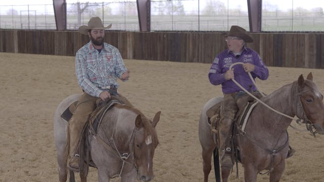 Training a Horse for the Reined Cow H...