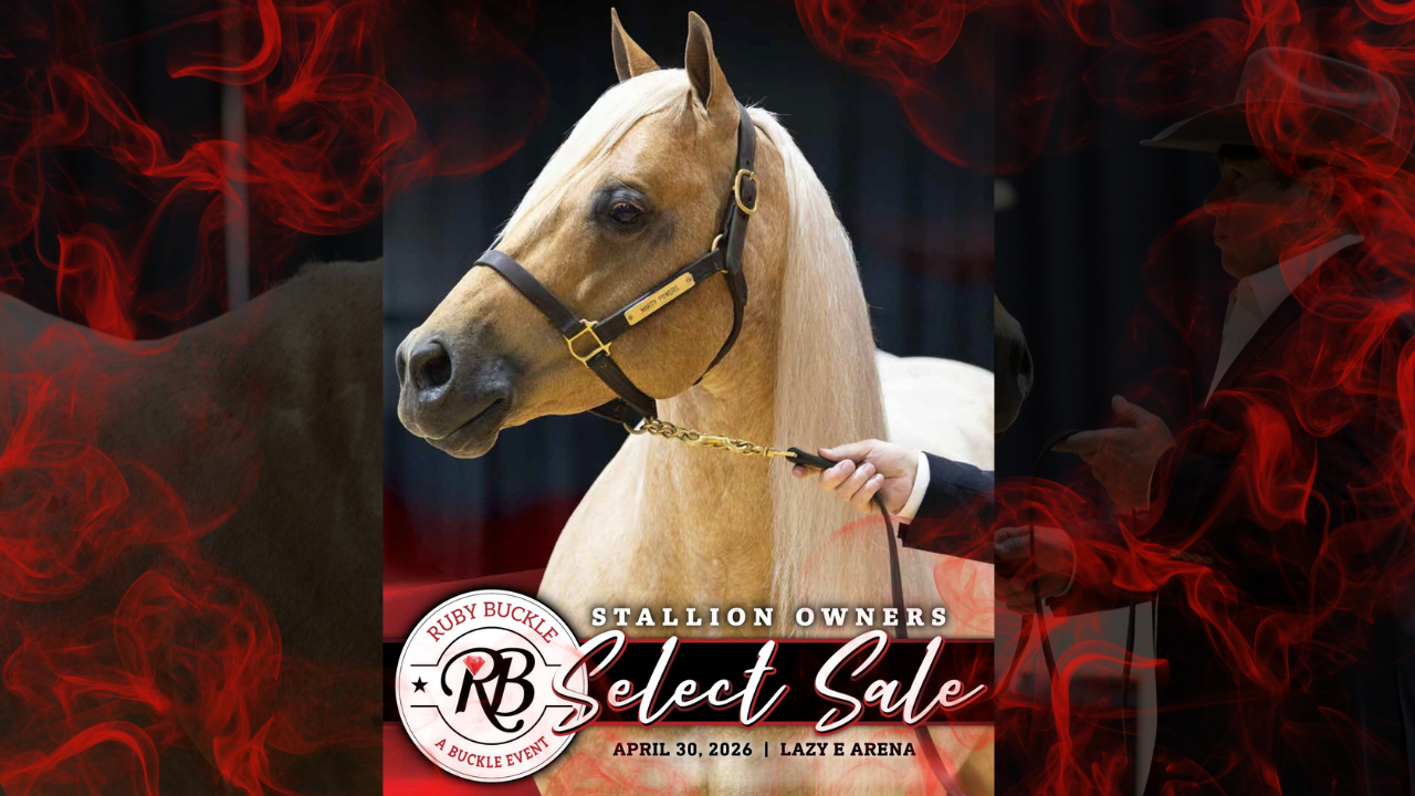 Ruby Buckle Central Stallion Owner's Select Sale | April 30, 2026