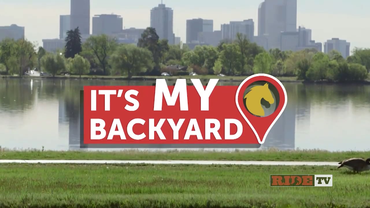 It's My Backyard Denver