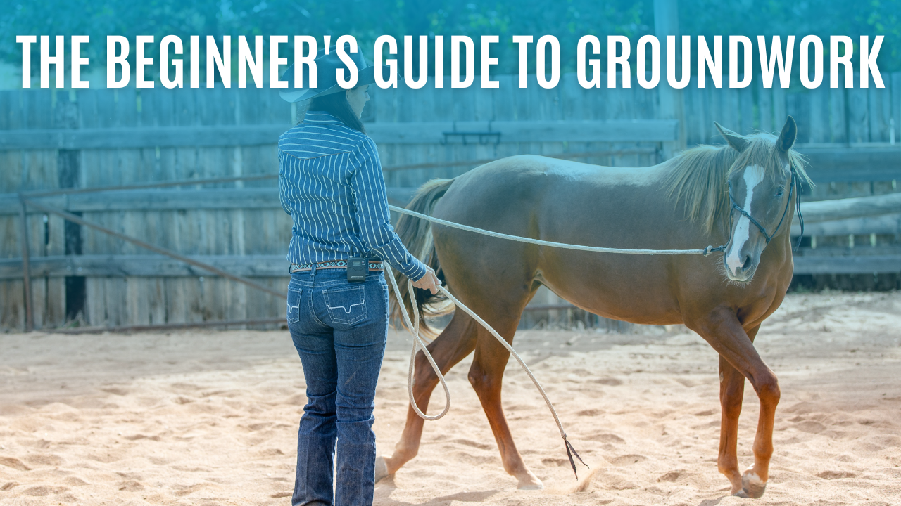 The Beginner's Guide to Groundwork
