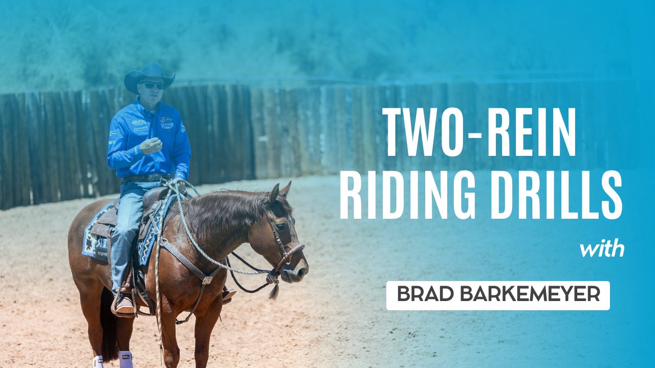 Two-Rein Riding Drills