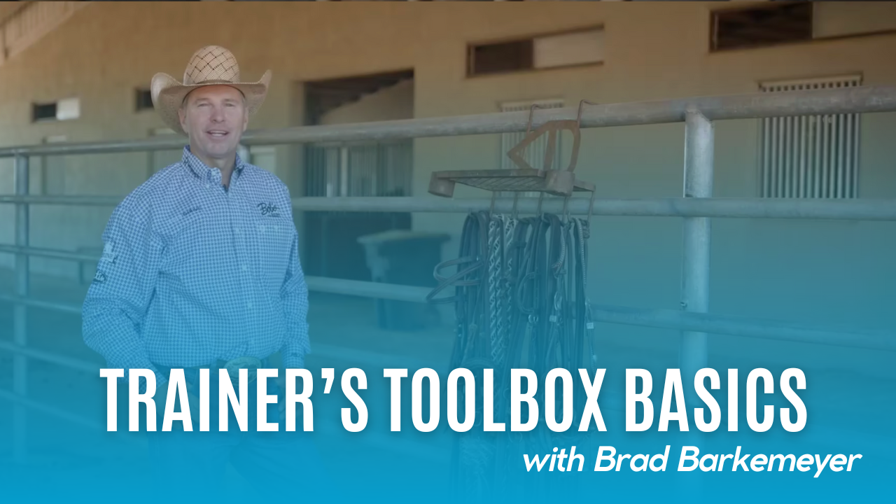 Trainer’s Toolbox Basics