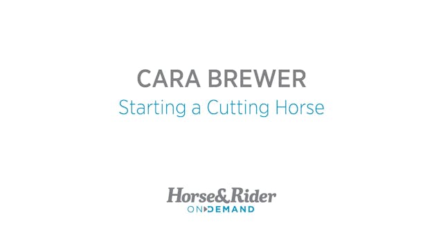 Starting a Cutting Horse