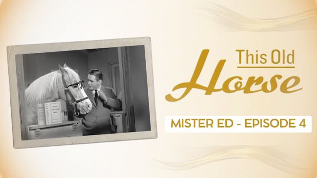 Mister Ed