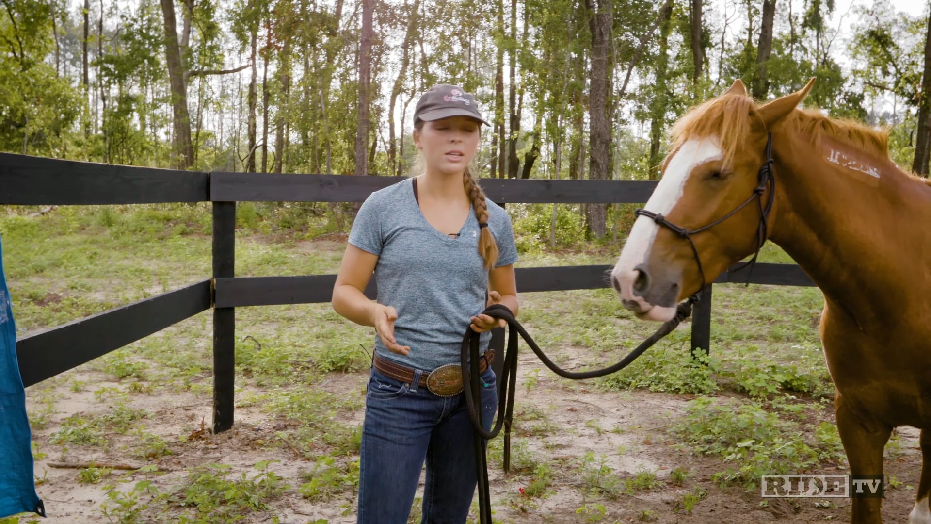 Horsemanship with Cat - Skittish Horses