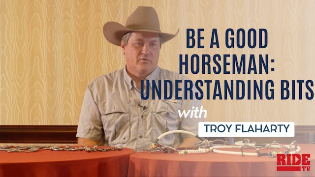 Be a Good Horseman: Understanding Bits