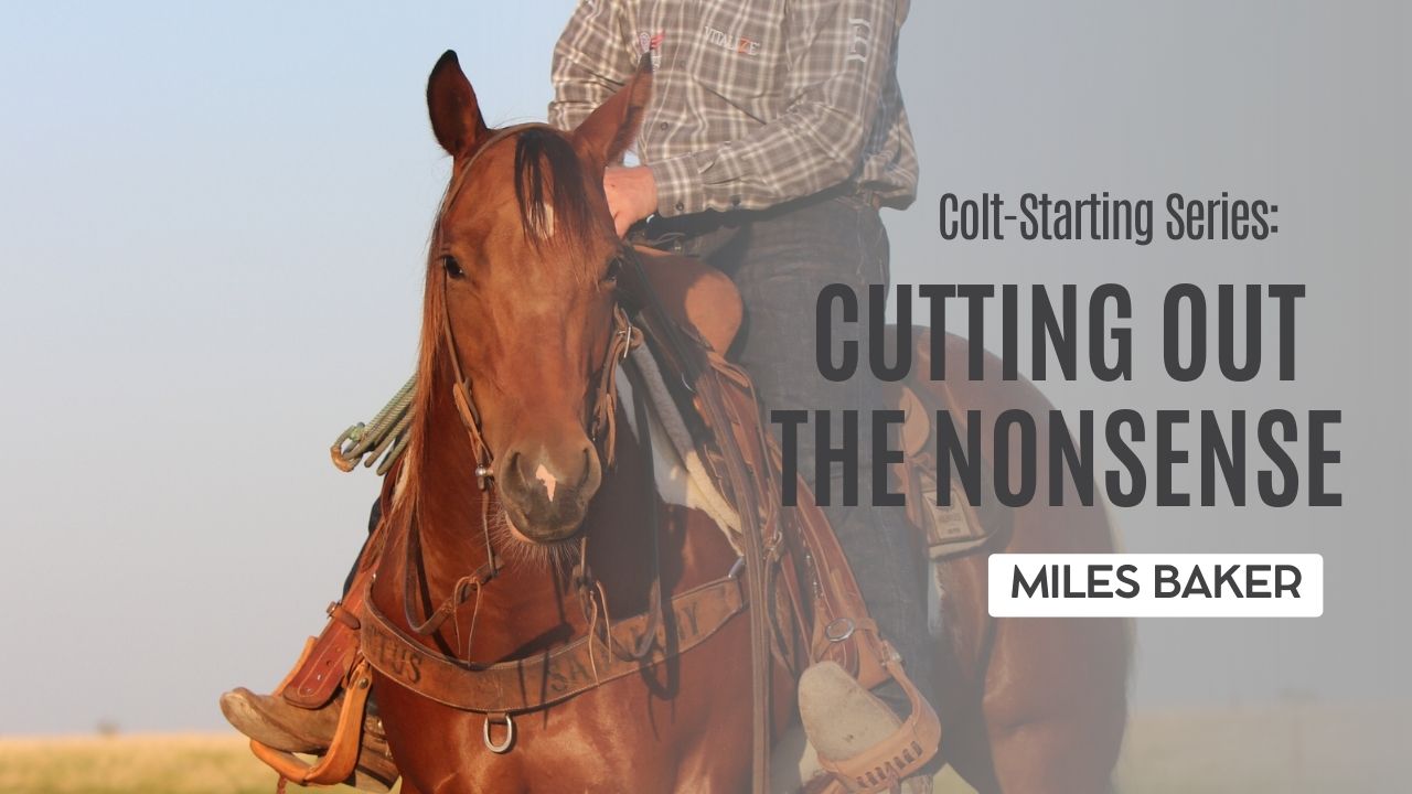 Colt-Starting Series: Cutting Out the Nonsense
