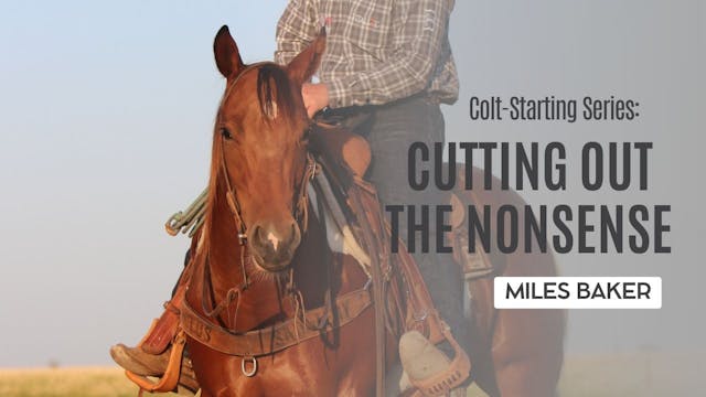 Colt-Starting Series: Cutting Out the...