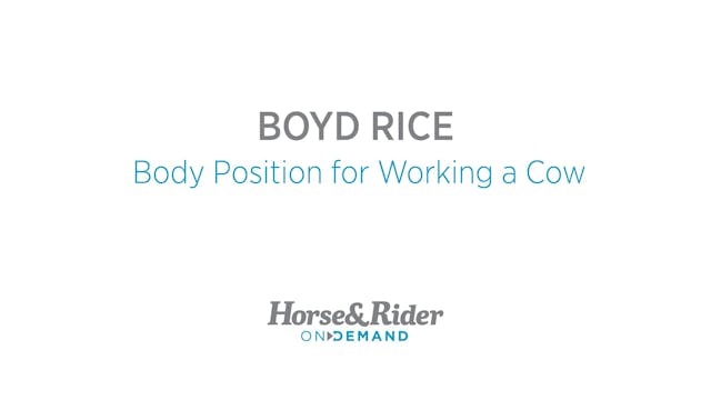 Body Position for Working a Cow
