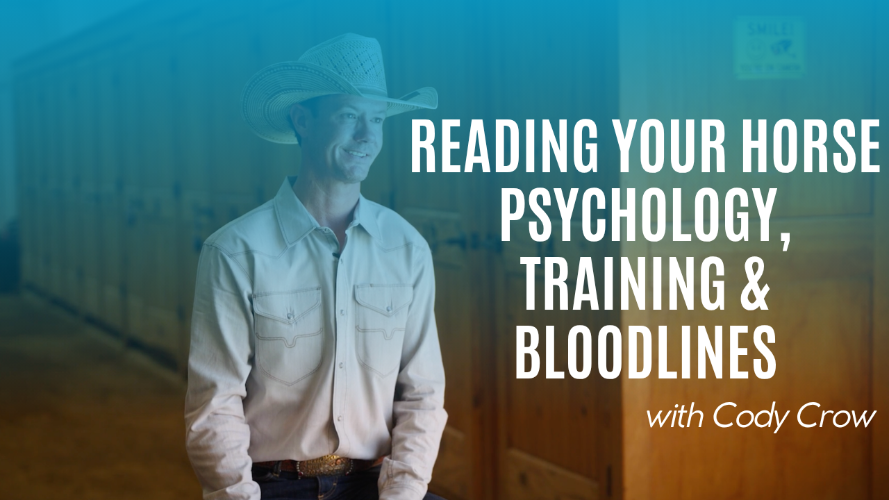 Cody Crow: Reading Your Horse Psychology, Training & Bloodlines