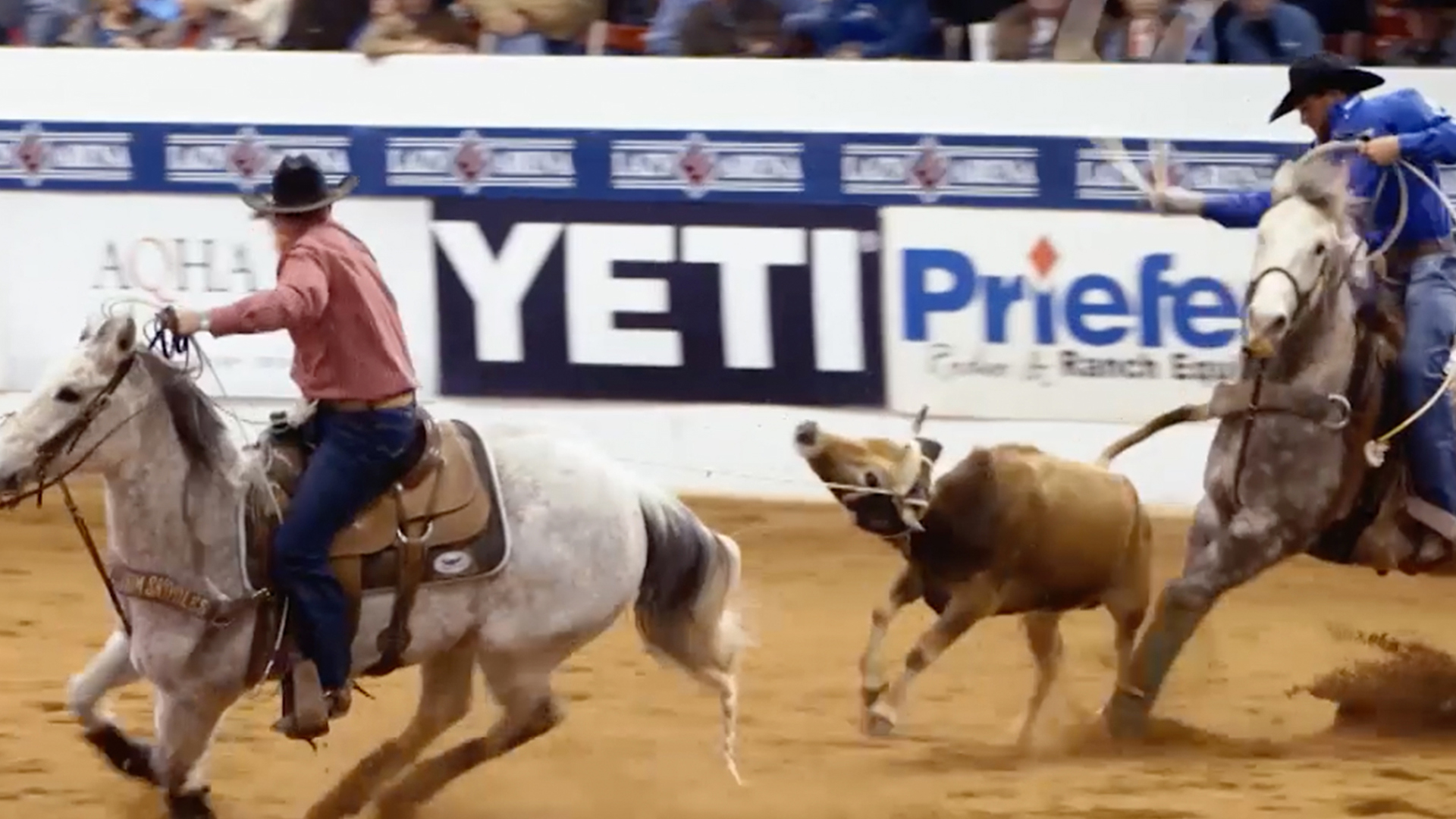 2018 Cinch Timed Event Championship - 2nd Performance