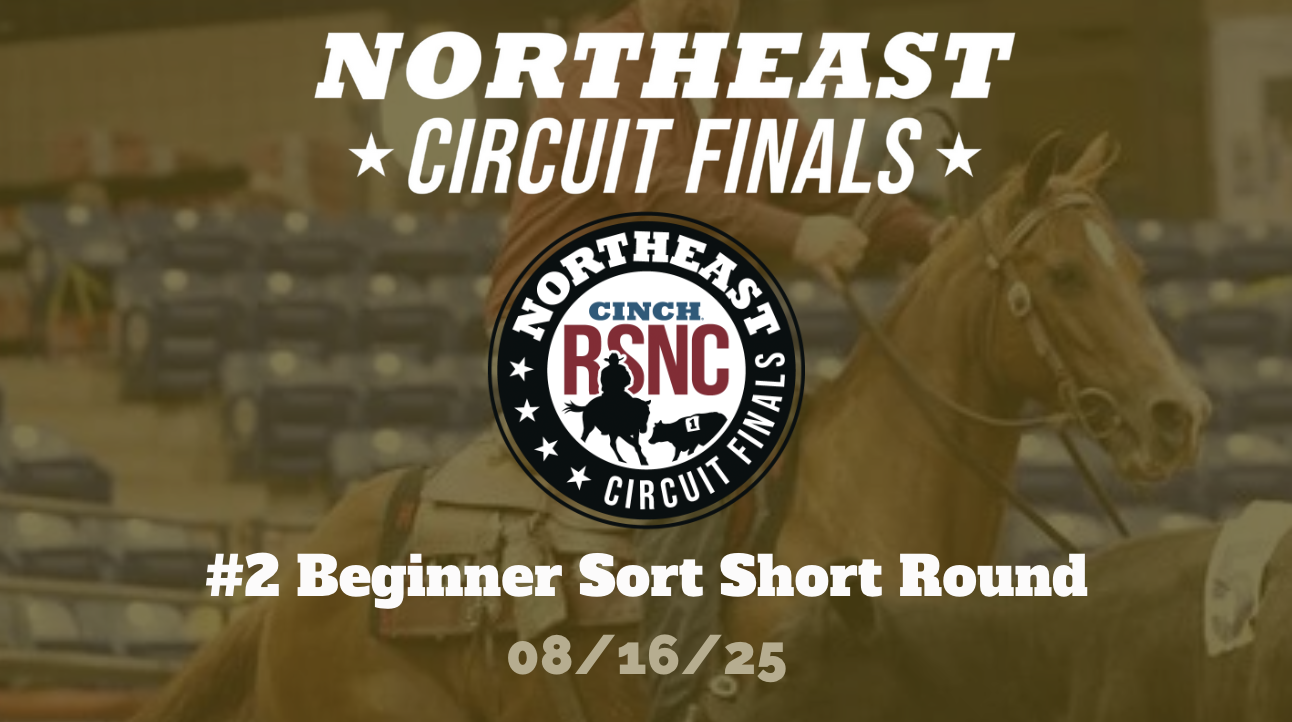#2 Beginner Sort Short Round | Cinch ...