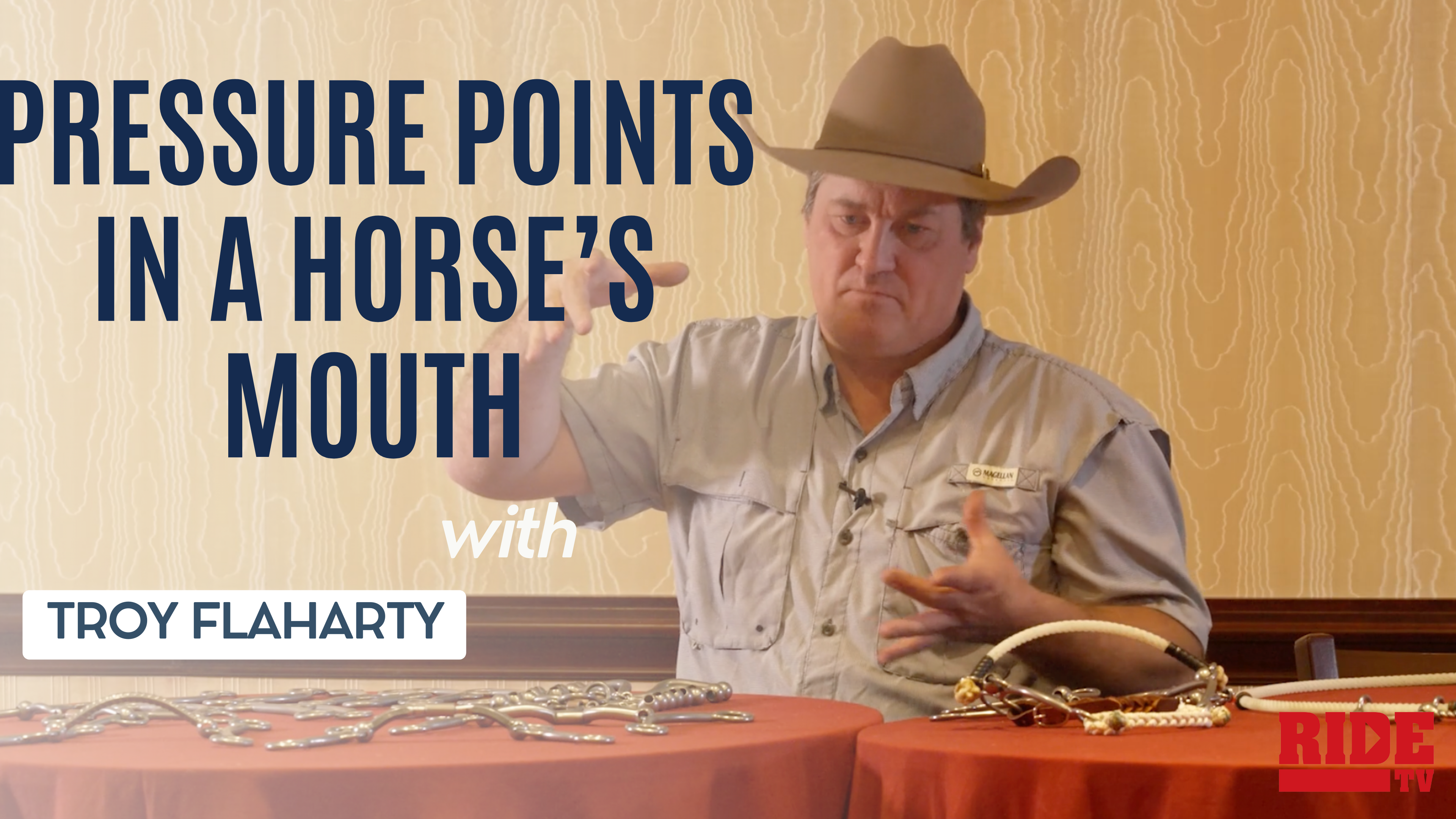 Pressure Points in a Horse’s Mouth