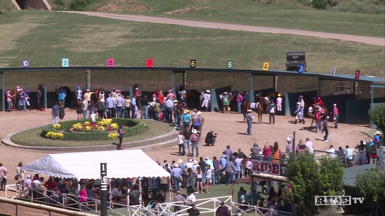 All American Futurity 2019 Live Show All American Derby & Futurity