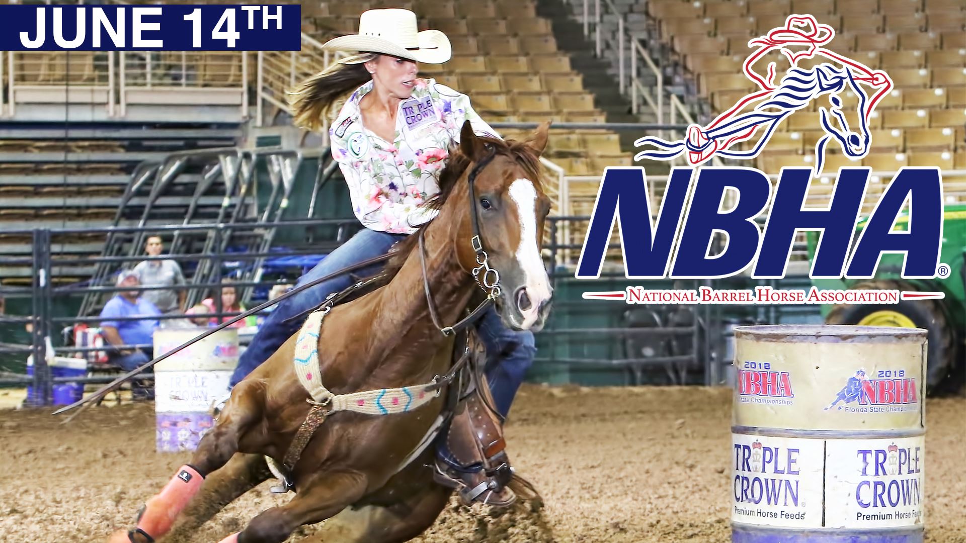 2019 NBHA Florida State Show: Day 2