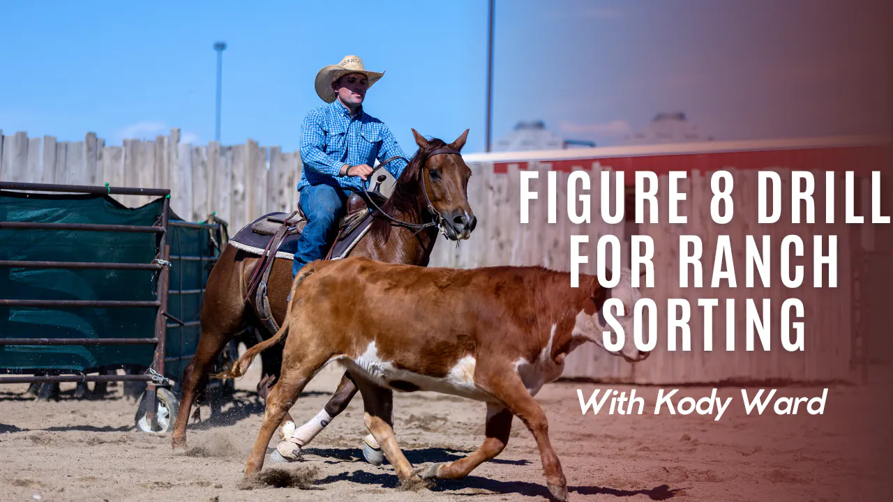 Sorting In Rodeo Figure 8 Drill for Ranch Sorting - Sorting Smart with Kody Ward - RIDE TV