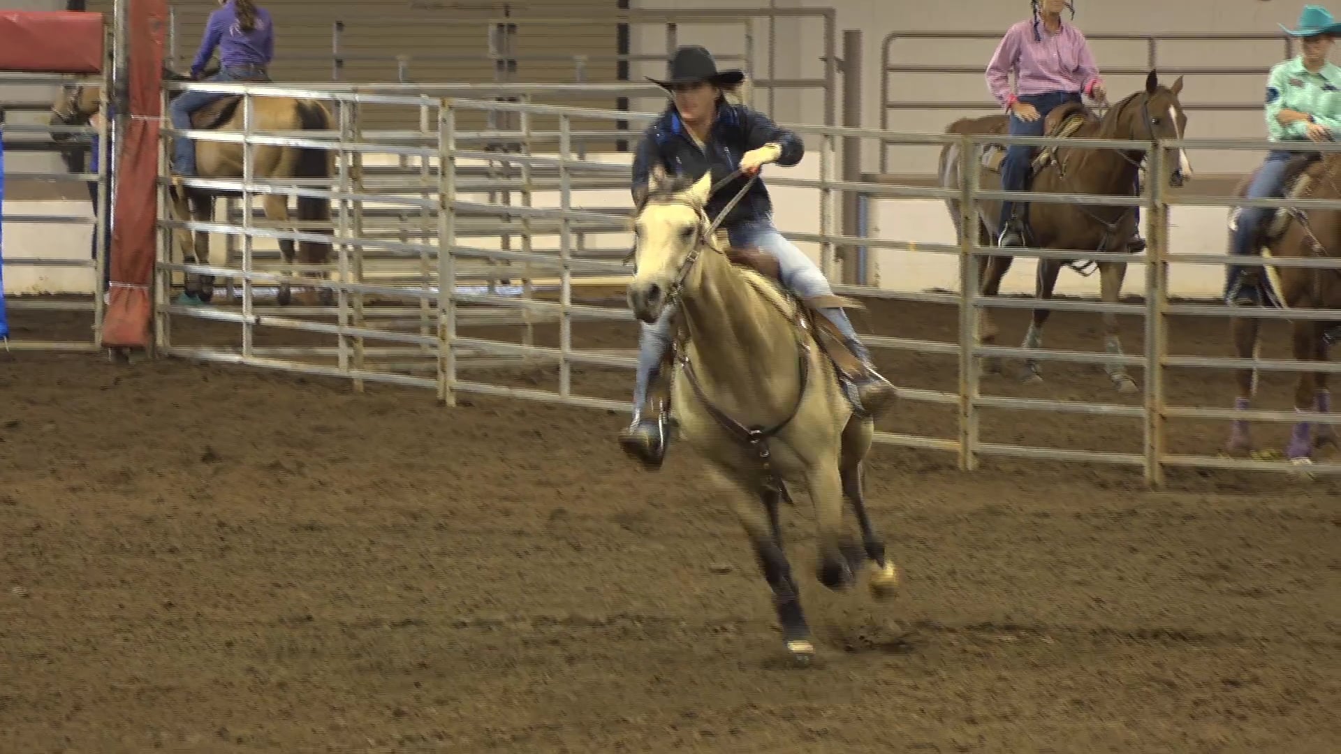 2019 NBHA GA Op1 #081-085