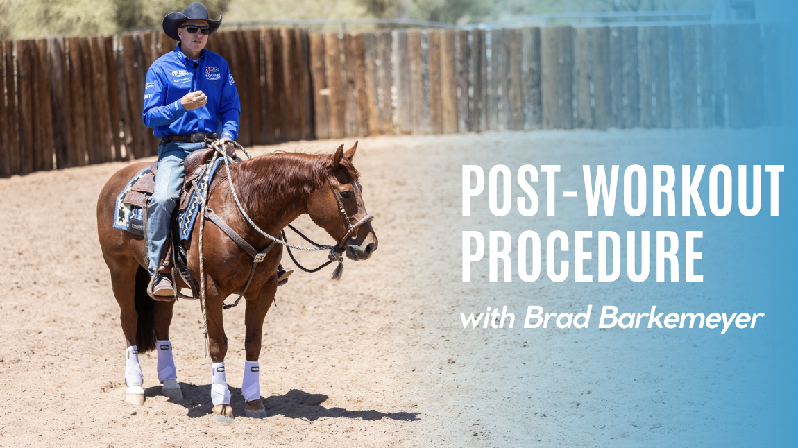 Post-Workout Procedure