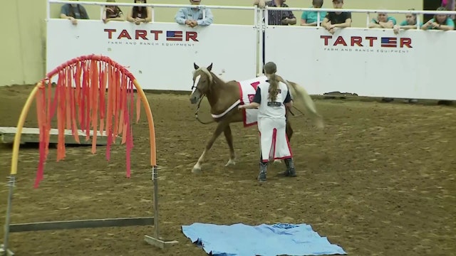 Youth Freestyle Class - Dacie Zook