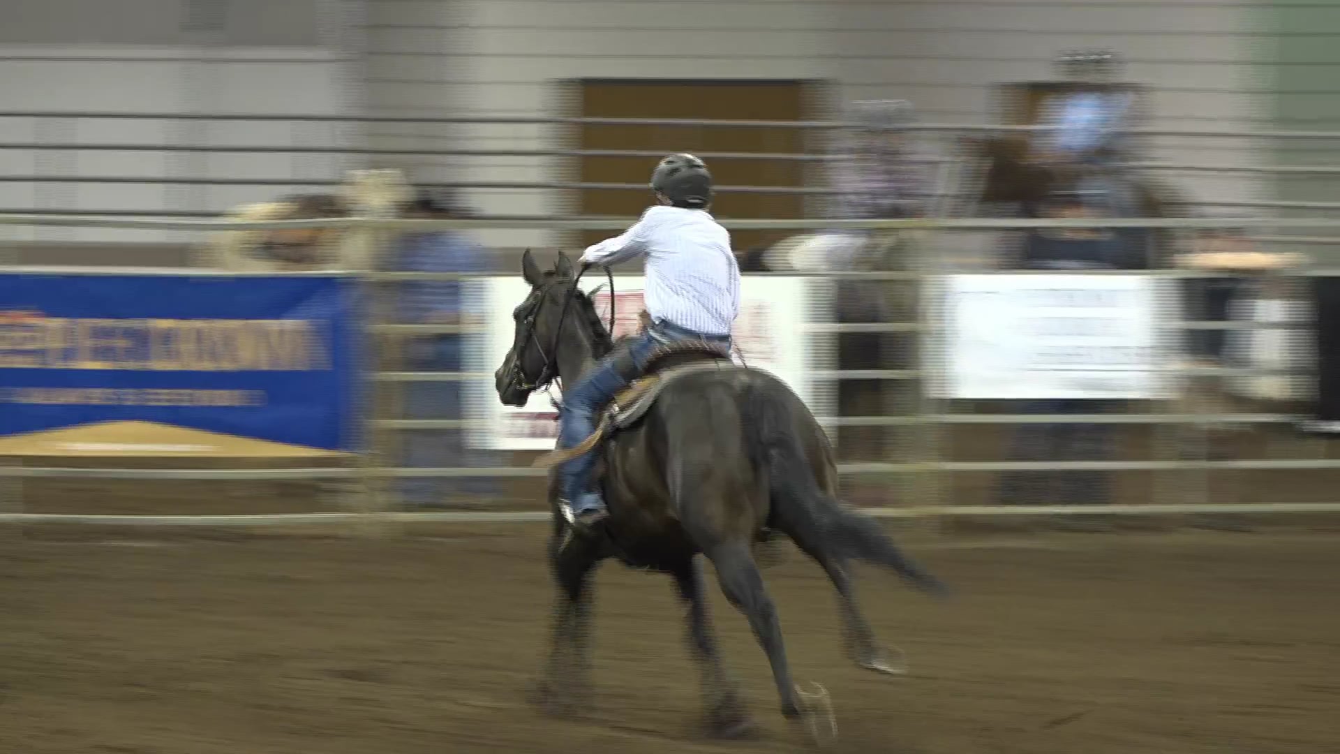 2019 NBHA GA Op1 #246-250