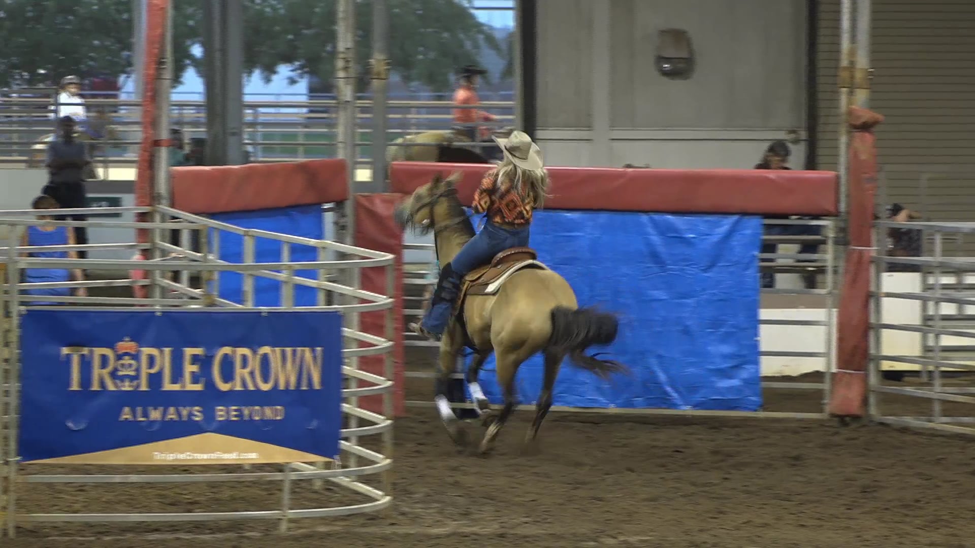 2019 NBHA GA Y1 #011-015