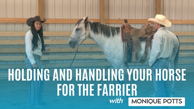 Holding and Handling Your Horse for t...