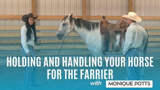 Holding and Handling Your Horse for t...