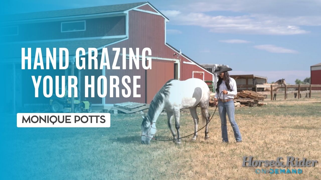 Hand Grazing Your Horse