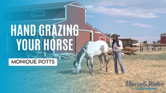 Hand Grazing Your Horse