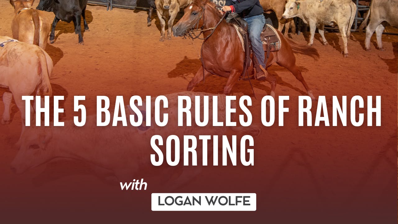 Sorting In Rodeo The 5 Basic Rules of Ranch Sorting - RIDE TV