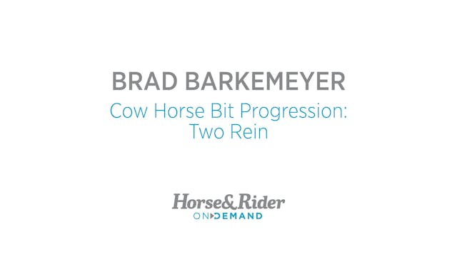 Cow Horse Bit Progression:Two Rein