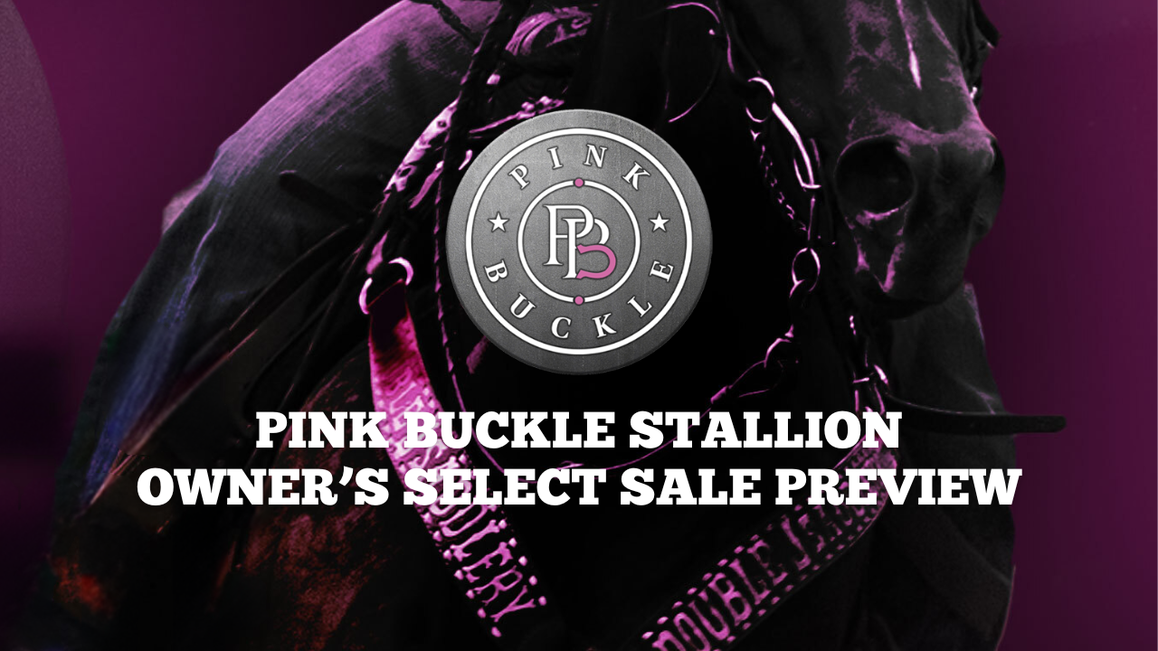 Pink Buckle Stallion Owner's Select Sale Preview | DO NOT PUBLISH