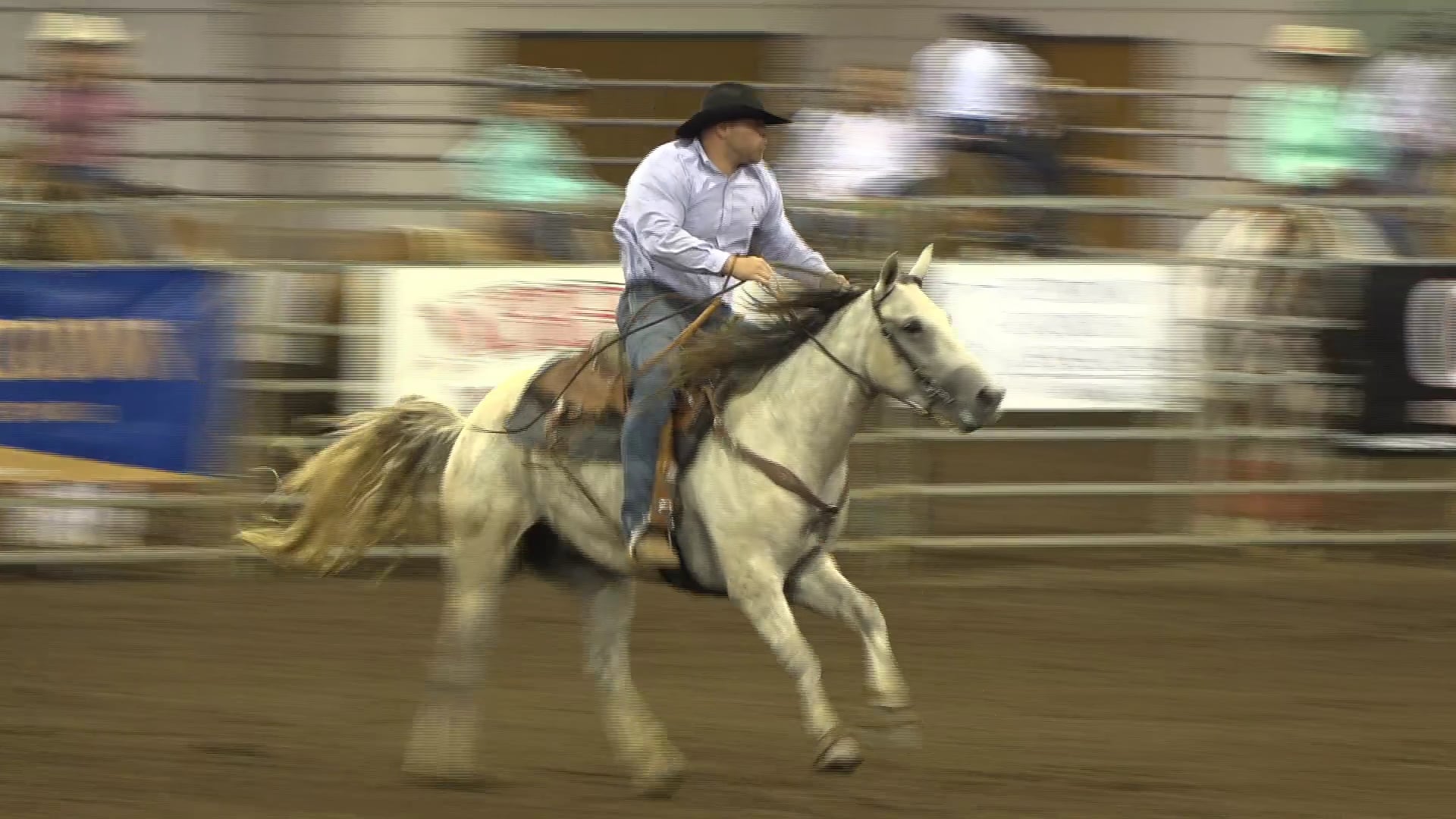 2019 NBHA GA Op1 #276-280