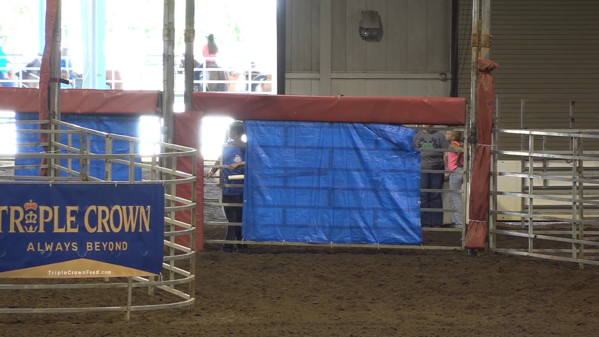 2019 NBHA GA Op1 #096-100