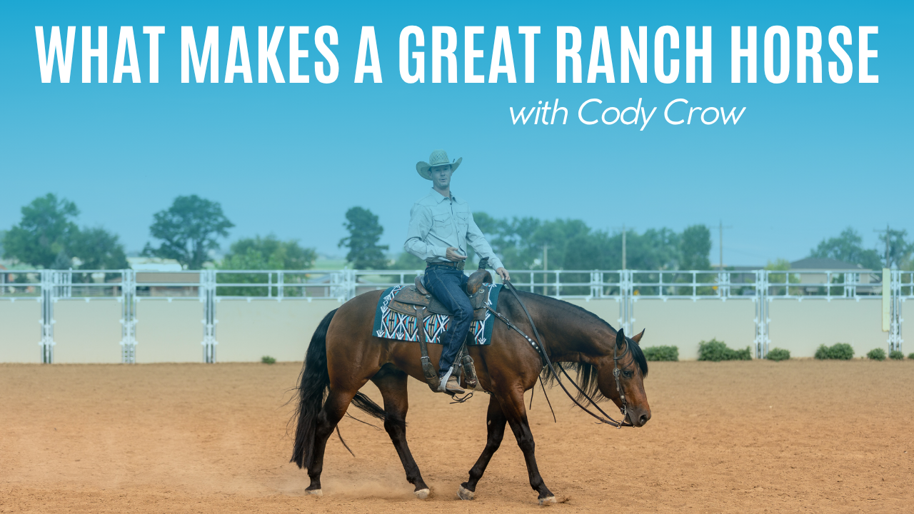Cody Crow on What Makes a Great Ranch Horse