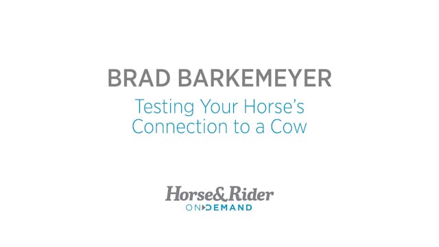 Test Your Horse's Connection on a Cow