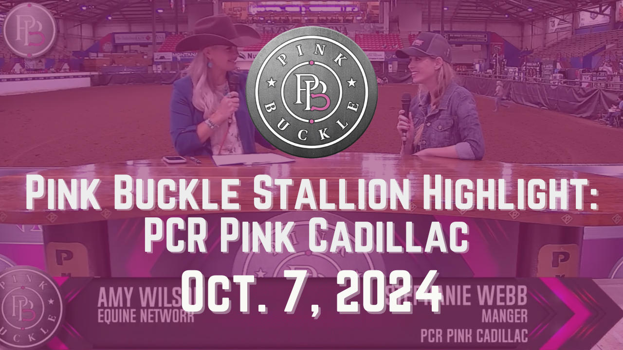 PCR Pink Cadillac, Stallion Highlight | Pink Buckle | October 7, 2024