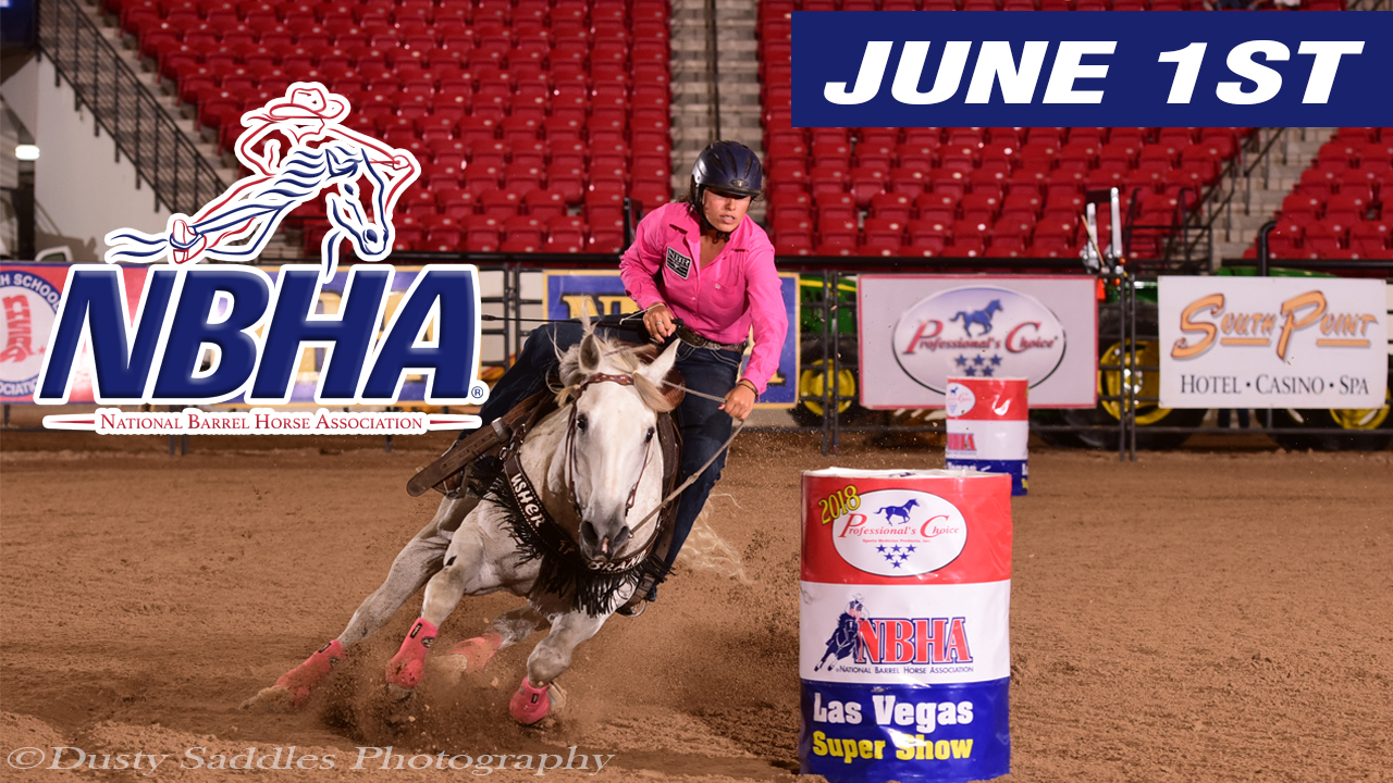 Day 2: 2019 Professional's Choice Vegas Super Show