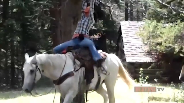 Anthony Lucia With Comedic Web Video Clips