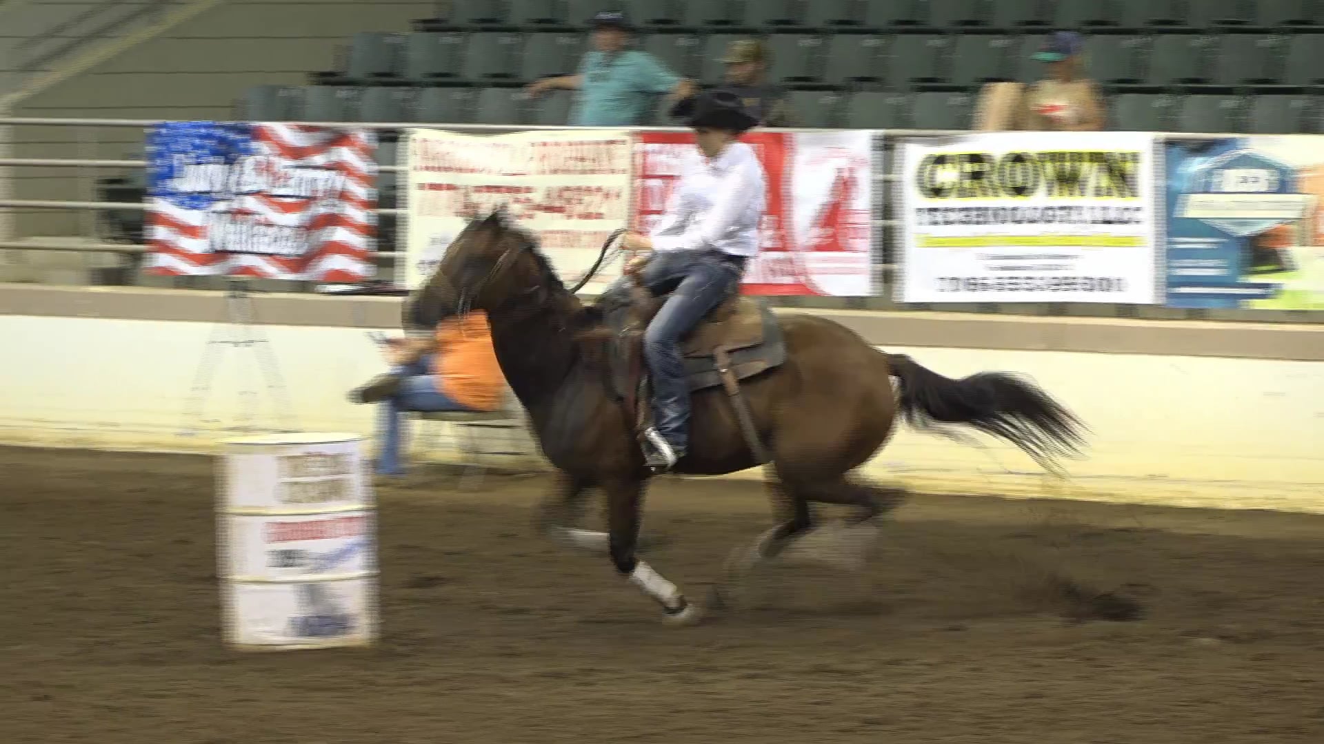 2019 NBHA GA Op2 #105-101