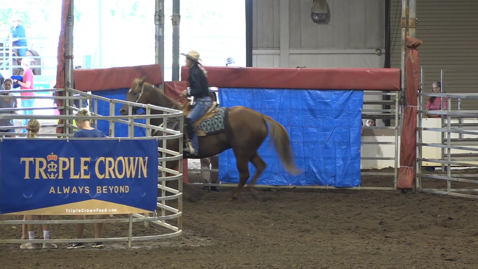 2019 NBHA GA Op2 #275-271