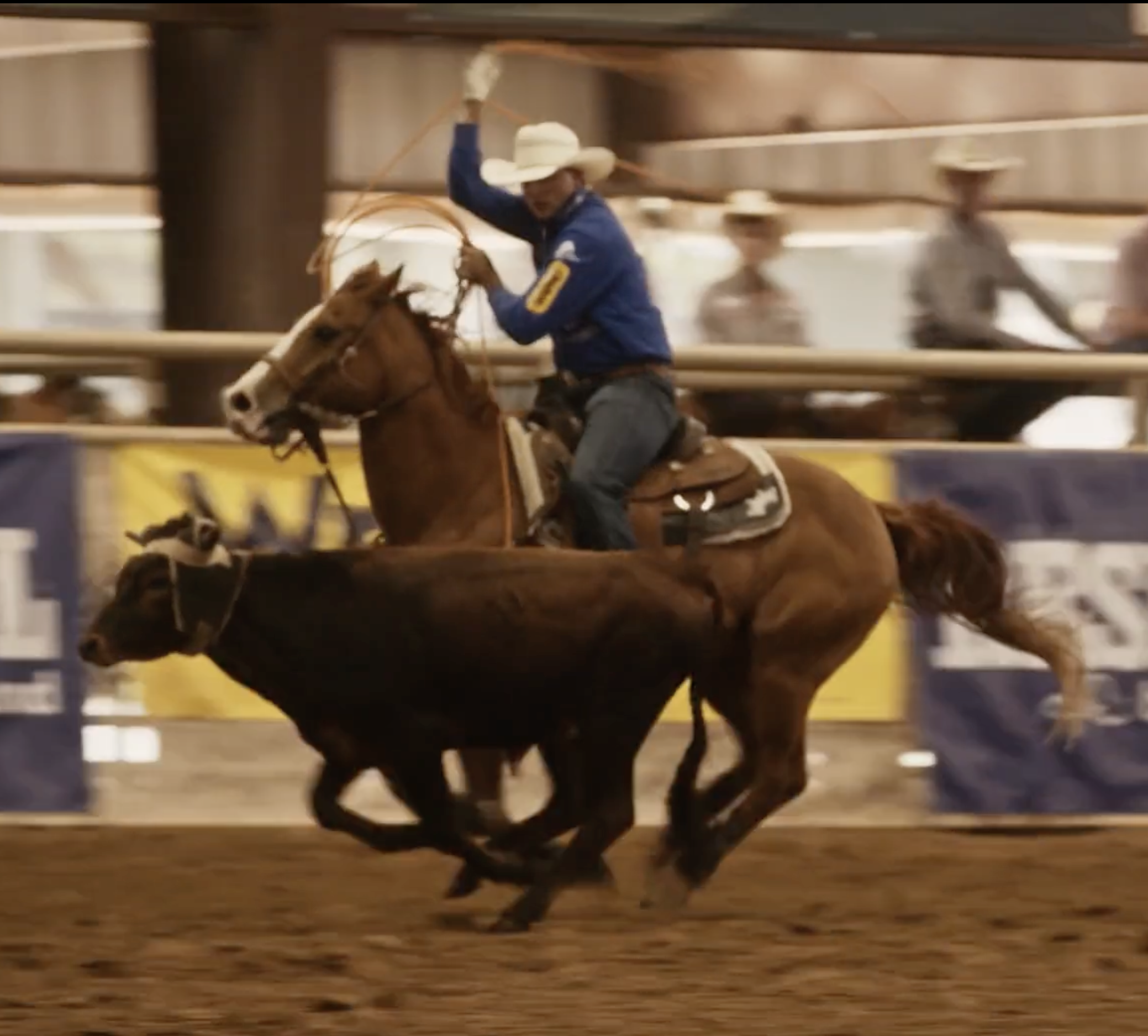 Buddy Check, Presented by Equinety
