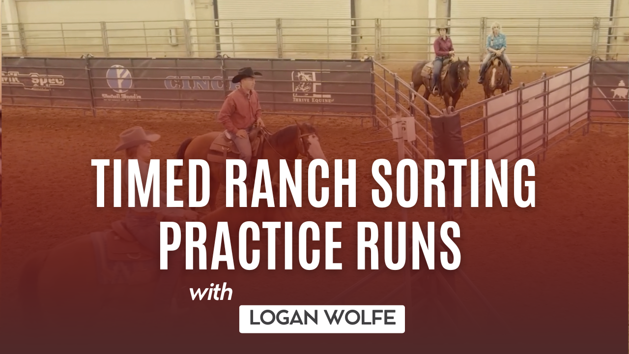Timed Ranch Sorting Practice Runs