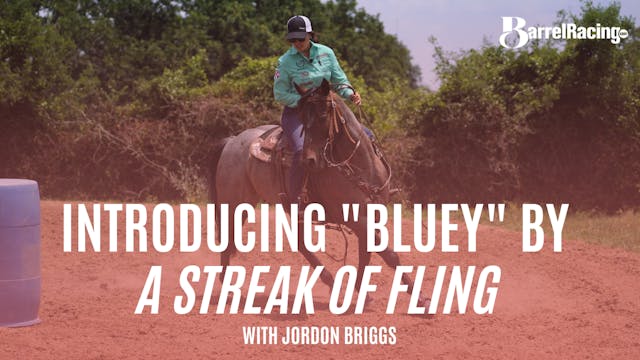 Introducing "Bluey" by A Streak Of Fling