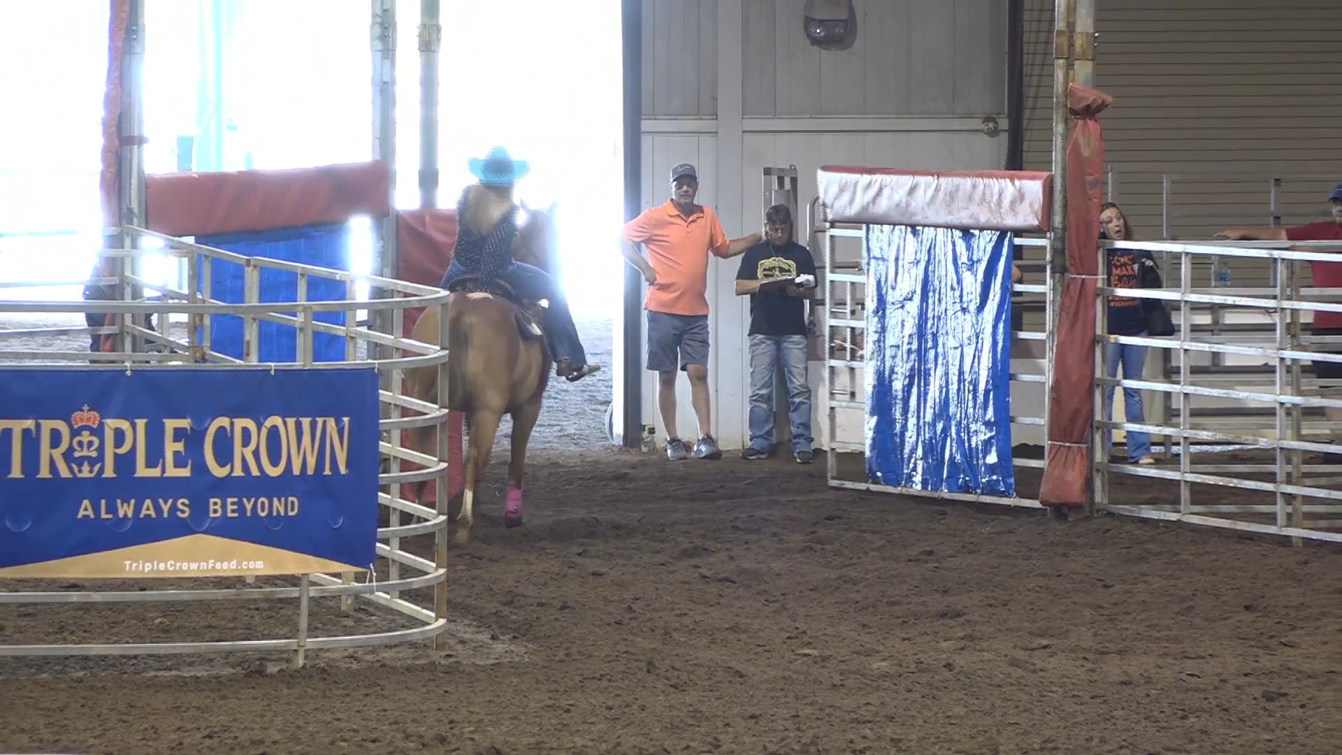 2019 NBHA GA Y1 #176-180