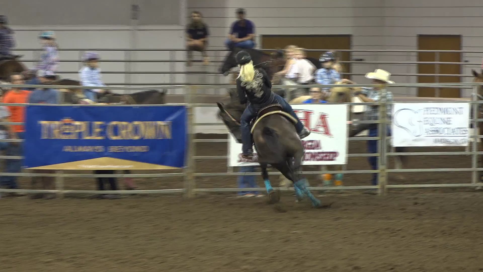 2019 NBHA GA Y1 #186-190