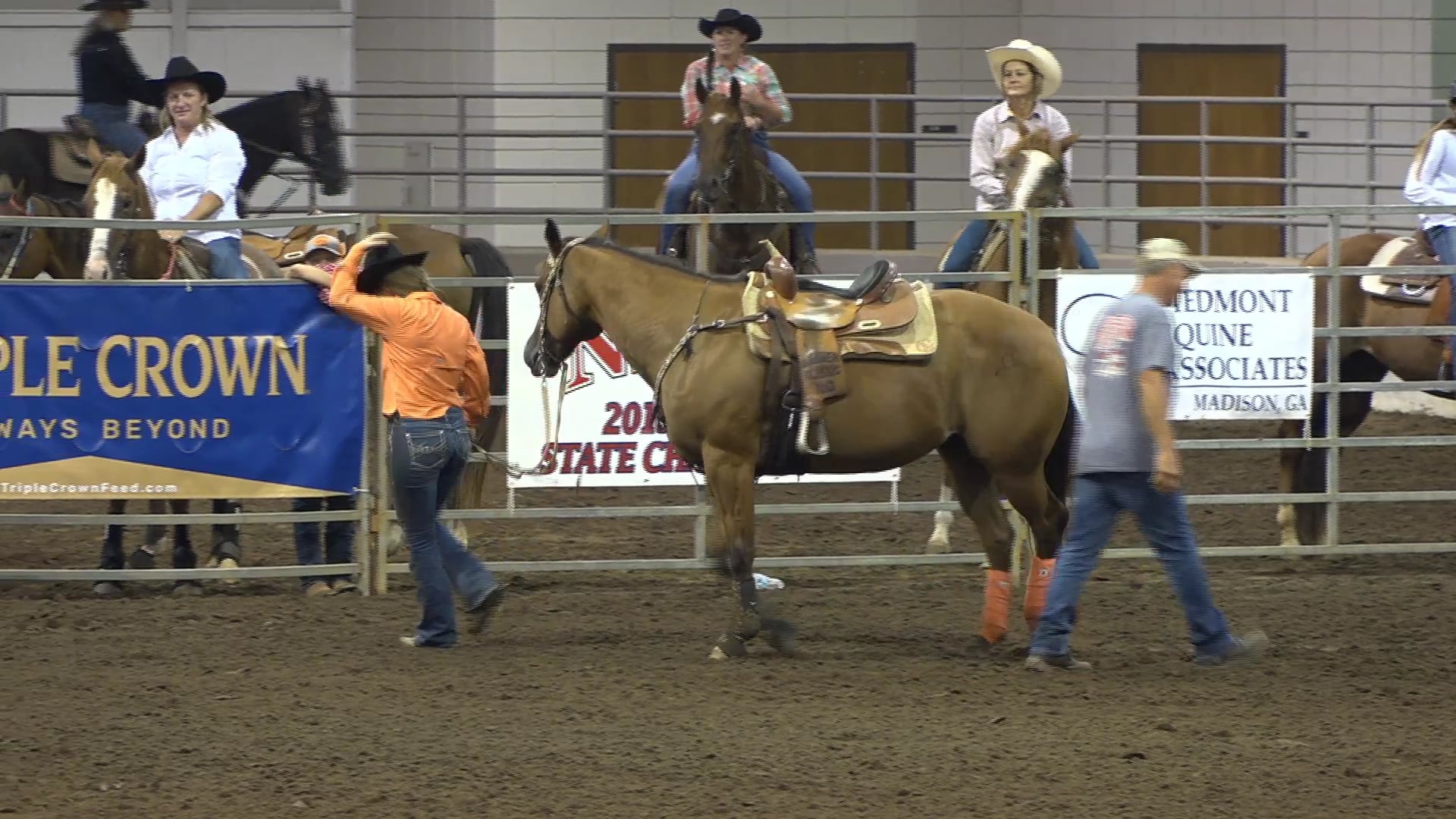 2019 NBHA GA Op2 #325-321